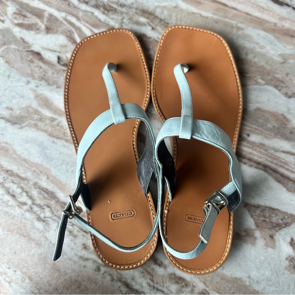 Powder Blue Coach sandals.